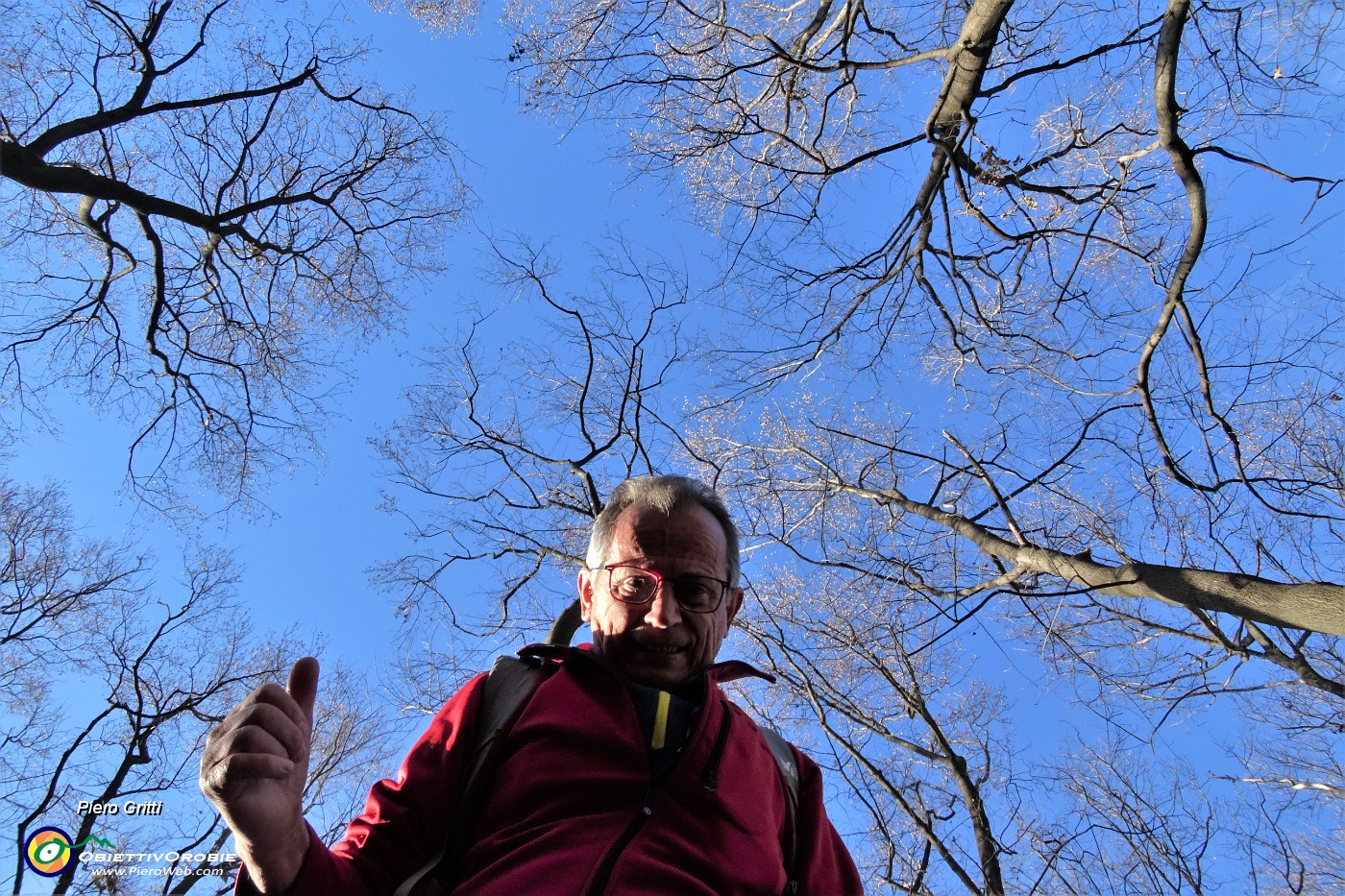 32 Lungo il sentiero 711 alberi svettanti verso il cielo.JPG